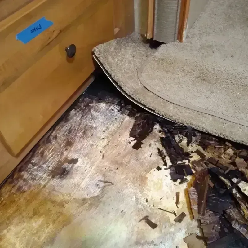 Wood Floor Water Damage in High Springs, FL